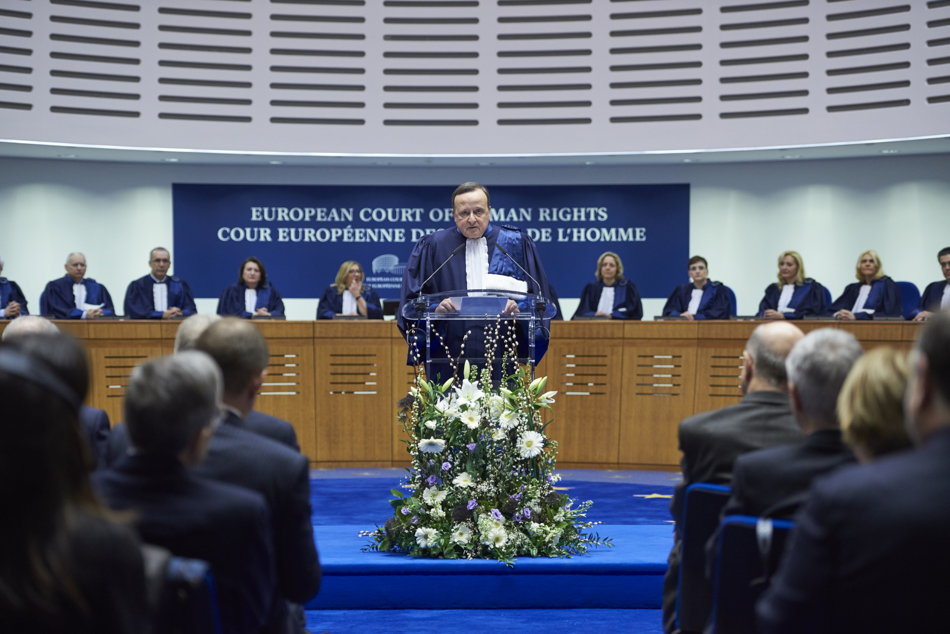 Председатель европейского суда по правам человека. 2014 ЕСПЧ. Европейский суд РБК.